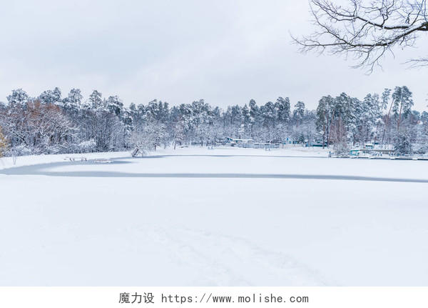 冬季公园内有冰冻湖泊和白雪覆盖的树木的美丽风景